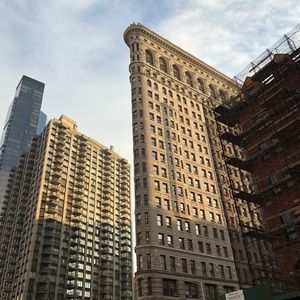 Meet your Posher, Dorothy